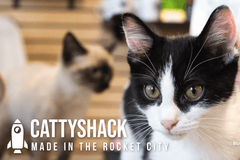 Made in the Rocket City: Cattyshack