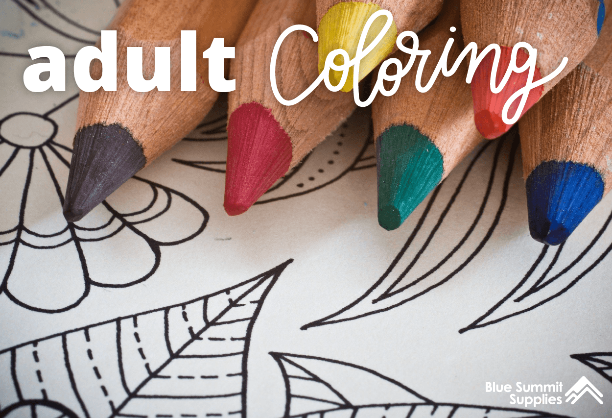 Adult Coloring Book for Seniors: an Amazing Collection of Fun and Simple  Mandala Bird Designs to Color Includes Color Pencils 
