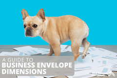 Business Envelope Dimensions: 10 Common Envelope Sizes Used at the Office