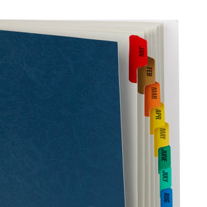 Expanding Desk File, Monthly, Letter Size, Blue Blue Summit Supplies