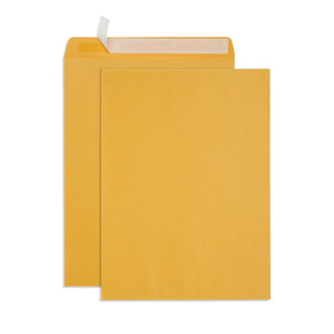 Blue Summit Catalog Envelopes, 13 x 17.7-Inch, Thick 28lb Kraft Paper, Peel and Seal Closure, 50 Envelopes Blue Summit Supplies