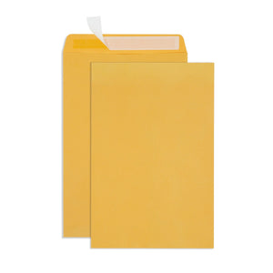 Blue Summit Catalog Envelopes, 10 x 15-Inch, Thick 28lb Kraft Paper, Peel and Seal Closure, 50 Envelopes Blue Summit Supplies