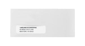 #10 Single Window Security Envelopes, Self Seal, 500 Count Envelopes Blue Summit Supplies