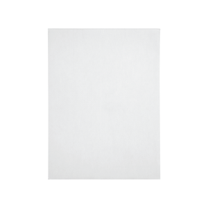 Security Catalog Envelopes, 9" x 12", White Paper, 100 Count Envelopes Blue Summit Supplies