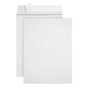Security Catalog Envelopes, 9" x 12", White Paper, 100 Count Envelopes Blue Summit Supplies