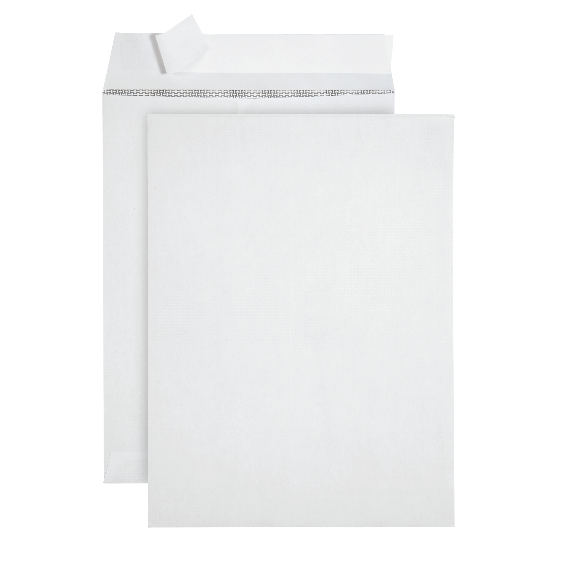 Blue Summit Supplies Security Catalog Envelopes, 9
