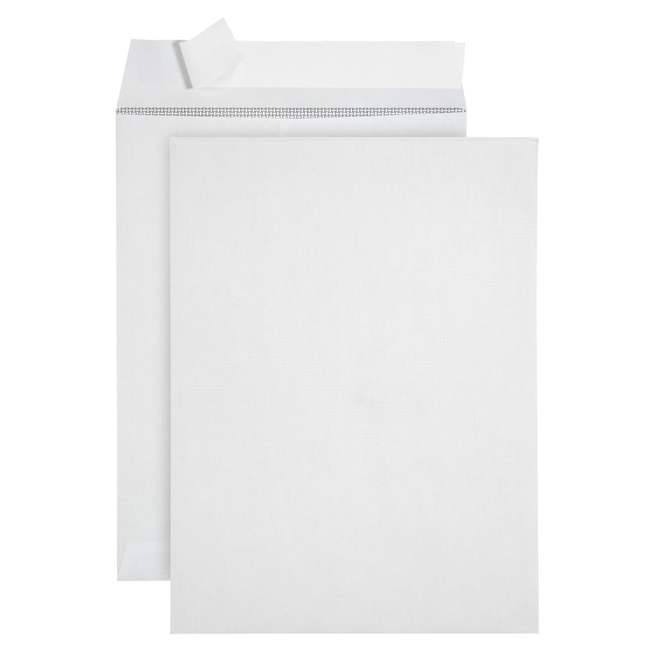 Security Catalog Envelopes, 6" x 9", White Paper, 250 Count Envelopes Blue Summit Supplies