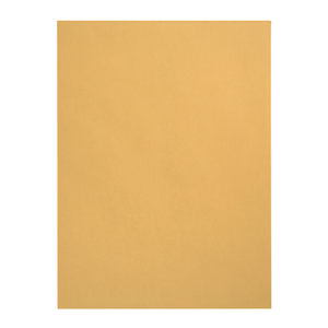 Catalog Envelopes, 9" x 12", Kraft Paper, 100 Count Envelopes Blue Summit Supplies