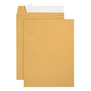 Catalog Envelopes, 9" x 12", Kraft Paper, 100 Count Envelopes Blue Summit Supplies