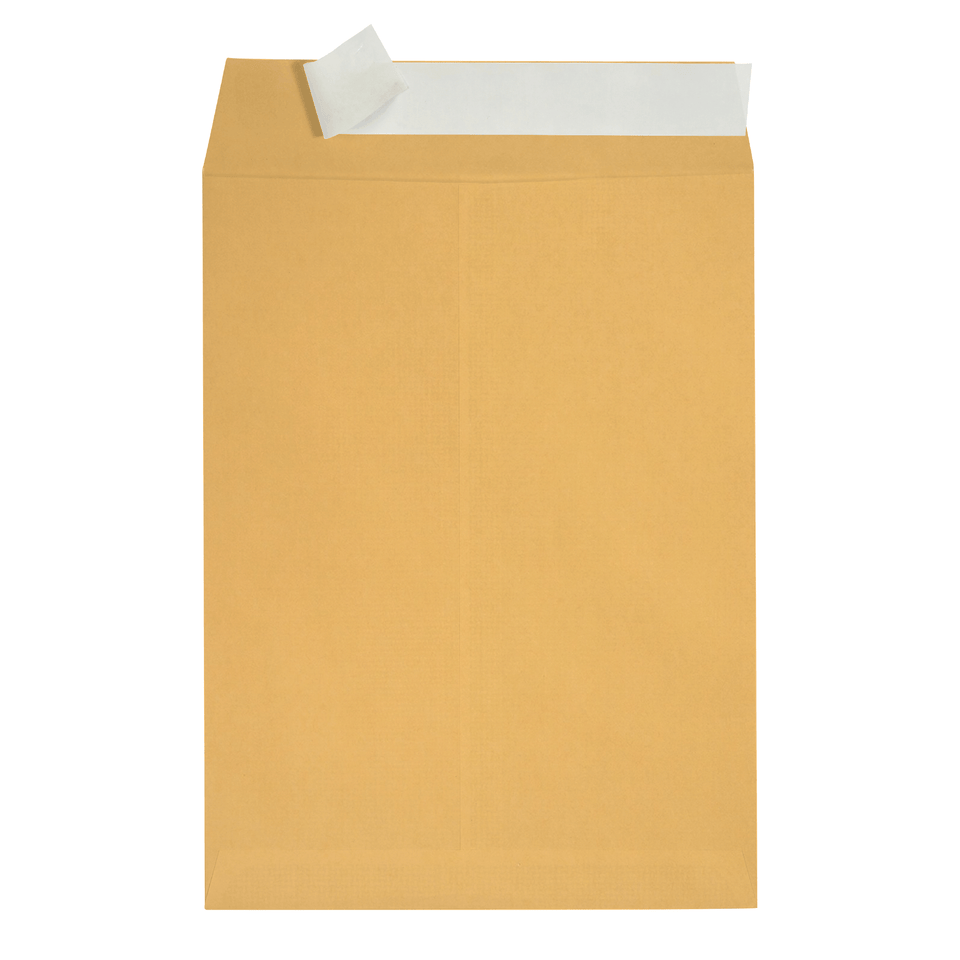 Catalog Envelopes, 9" x 12", Kraft Paper, 100 Count Envelopes Blue Summit Supplies