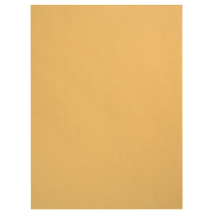 Catalog Envelopes, 6" x 9", Kraft Paper, 100 Count Envelopes Blue Summit Supplies