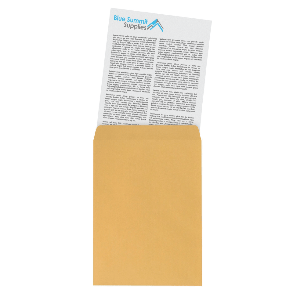 Catalog Envelopes, 6" x 9", Kraft Paper, 100 Count Envelopes Blue Summit Supplies