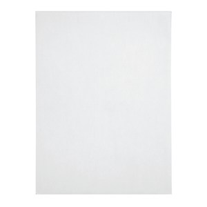 Security Catalog Envelopes, 6" x 9", White Paper, 250 Count Envelopes Blue Summit Supplies