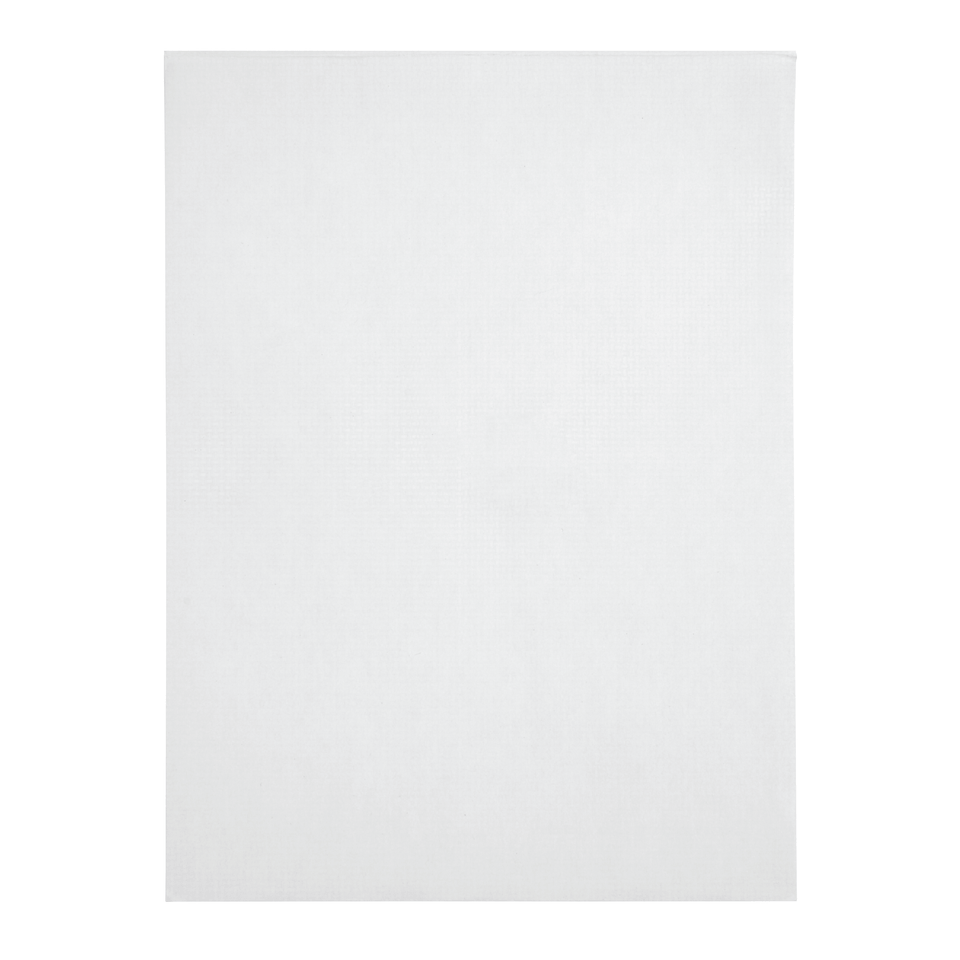Security Catalog Envelopes, 6" x 9", White Paper, 250 Count Envelopes Blue Summit Supplies