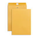Clasp Envelopes, 9” x 12”, Kraft Paper, 100 Pack Envelopes Blue Summit Supplies