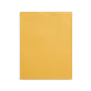 Large Clasp Envelopes, 10” x 13”, Kraft Paper, 100 Pack Envelopes Blue Summit Supplies