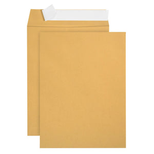 Catalog Envelopes, 6" x 9", Kraft Paper, 100 Count Envelopes Blue Summit Supplies 