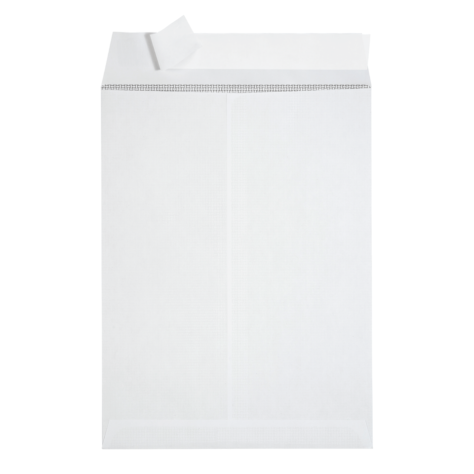 Security Catalog Envelopes, 6" x 9", White Paper, 250 Count Envelopes Blue Summit Supplies