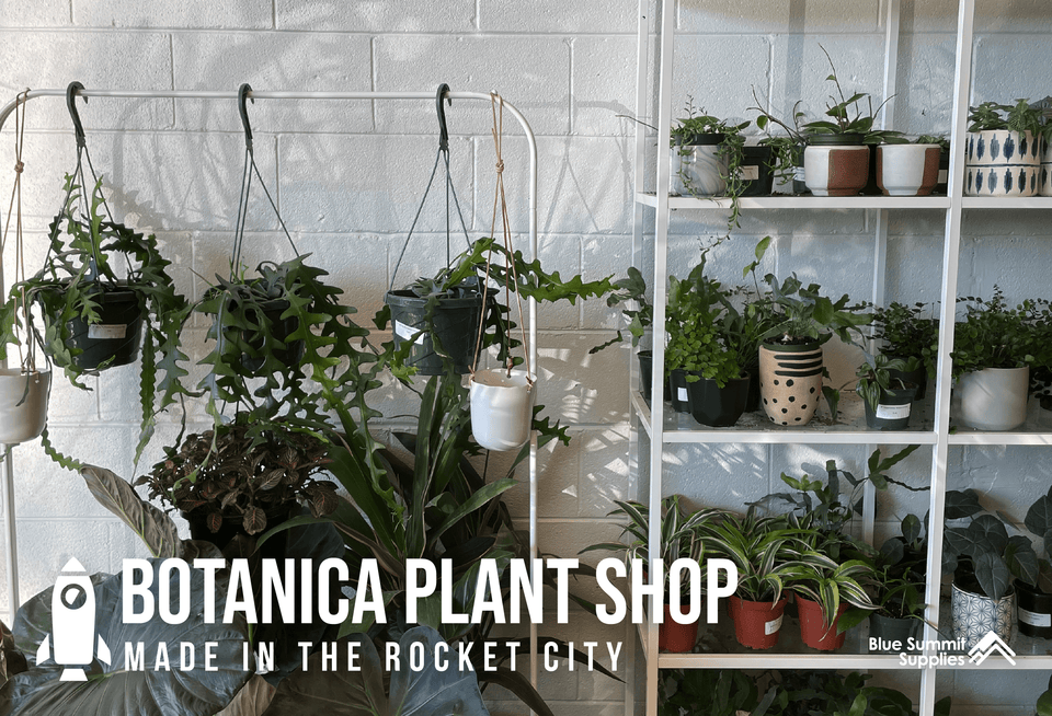 Made in the Rocket City: Botanica Plant Shop