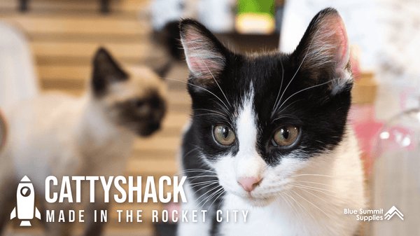 Made in the Rocket City: Cattyshack