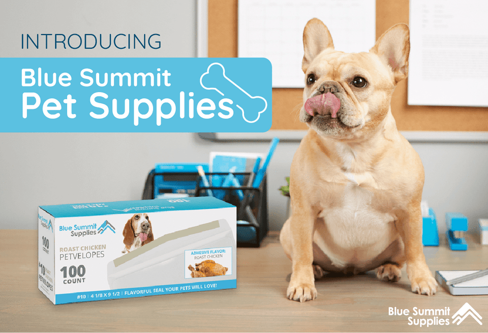 Introducing Blue Summit Pet Supplies