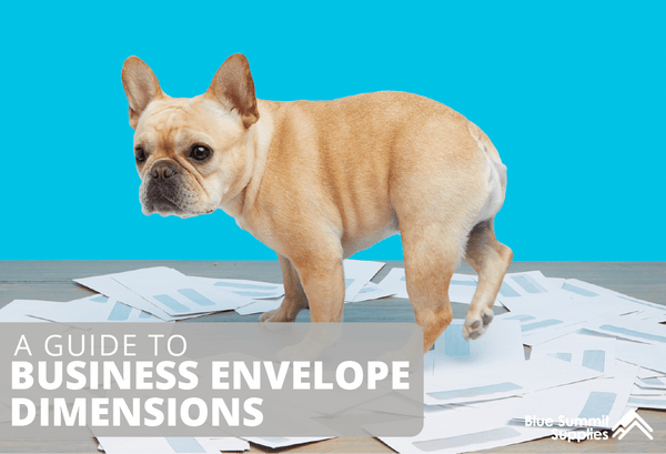 Business Envelope Dimensions: 10 Common Envelope Sizes Used at the Office