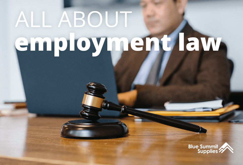 Employment Law 101: Understanding Employee Rights