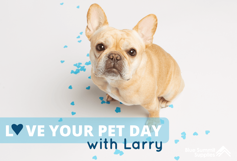 Love Your Pet Day with Larry