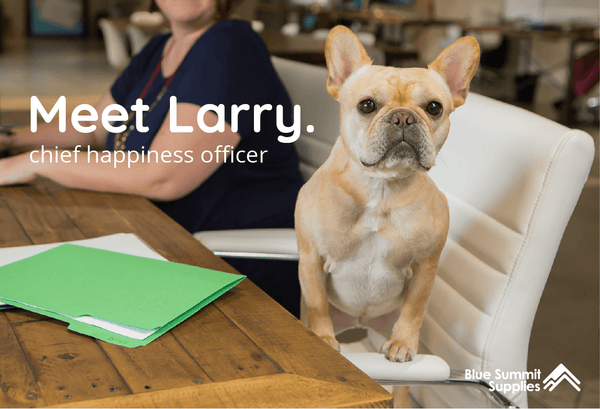 Meet Our Chief Happiness Officer, Larry
