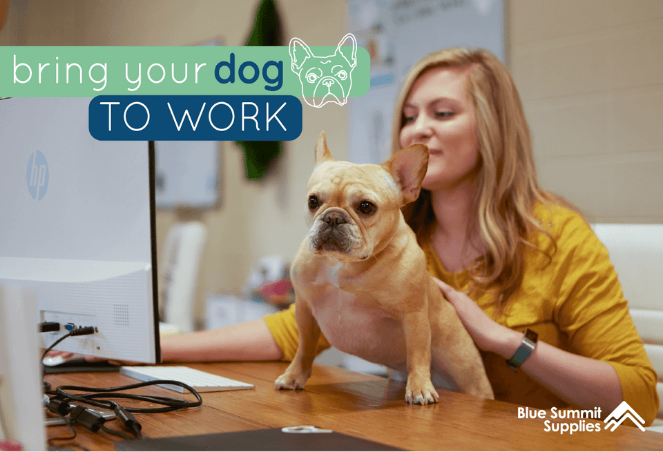 Bring Your Dog to Work