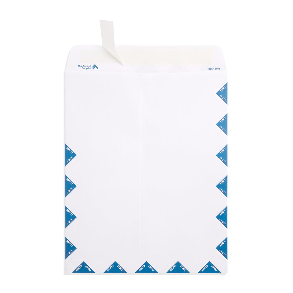 Blue Summit First Class Mail Double Window Envelope - 9.5” x 12” - 100 Mailing Envelopes with Security Tint and Peel and Seal