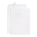 Blue Summit 100 White Catalog Envelopes - 28lb - 9 x 12 inch - Security Tinted, Strong Self Seal
