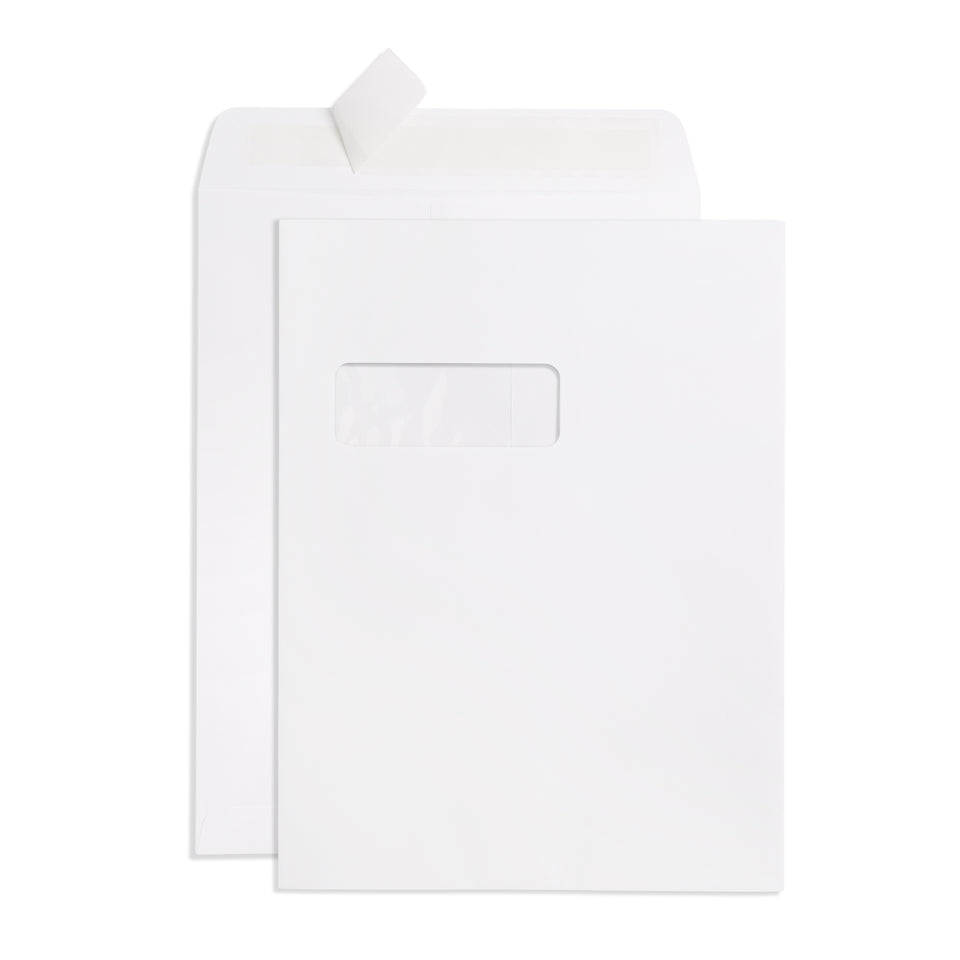 Blue Summit 100 White Catalog Envelopes - 28lb - 9 x 12 inch - Security Tinted, Strong Self Seal