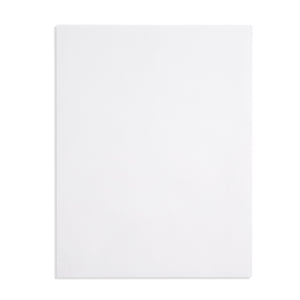 Blue Summit 50 White Catalog Envelopes - 28lb - 12 x 15.5 inch - Security Tinted, Strong Self Seal