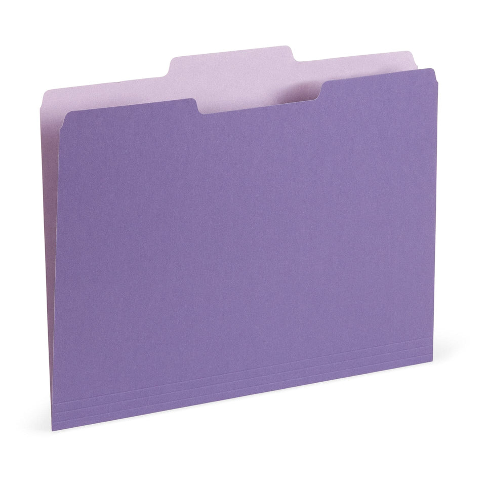 File Folder, Two Tone, Letter Size, Purple (-1072 color), 100 Pack Blue Summit Supplies 