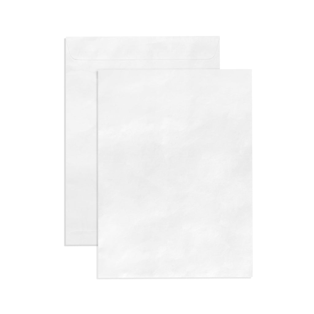 100 9x12 Tyvek Envelopes, Self Seal 9 x 12 Catalog Mailer, Ultra Stron