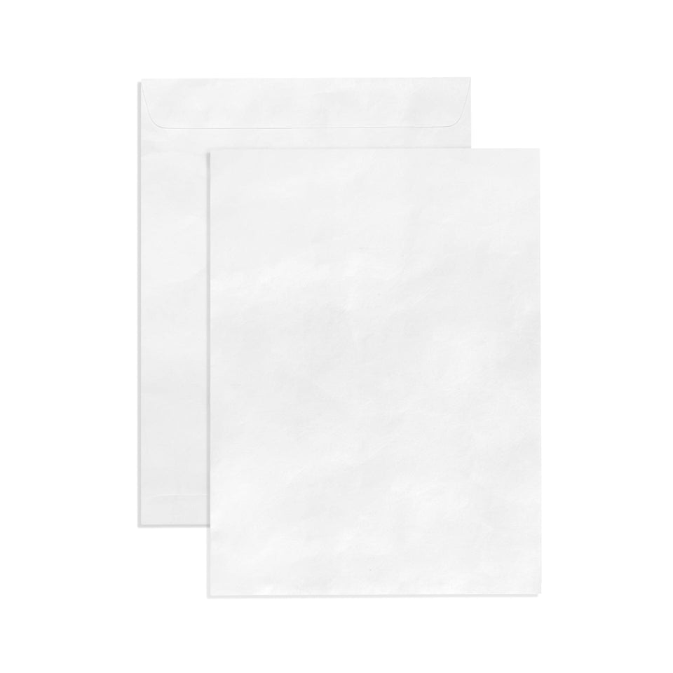 100 9x12 Tyvek Envelopes, Self Seal 9 x 12 Catalog Mailer, Ultra Strong 14lb Tear Resistant Material, Designed for Secure Mailing, Strong Peel and Seal Flap, 100 Envelopes Blue Summit Supplies 