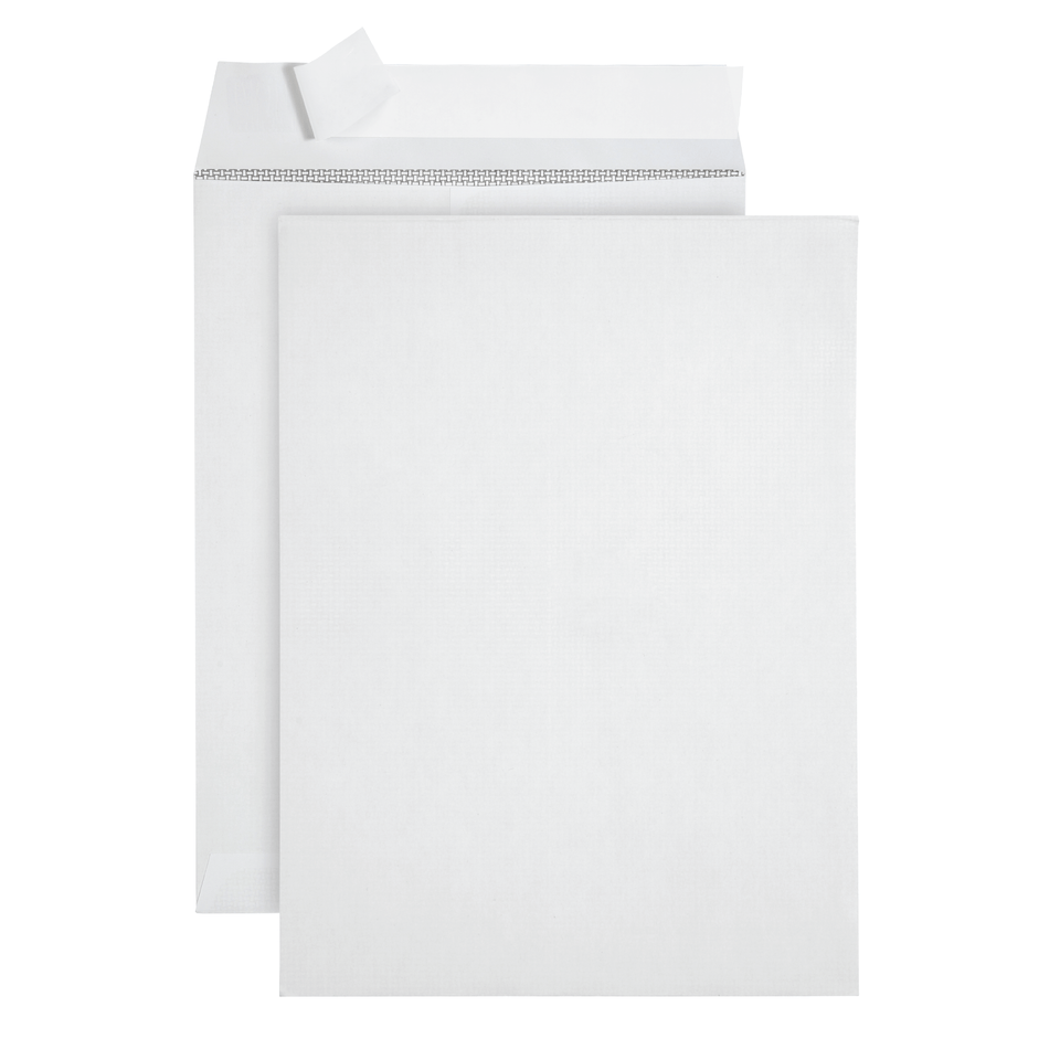 Security Catalog Envelopes, 9" x 12", White Paper, 100 Count Envelopes Blue Summit Supplies 