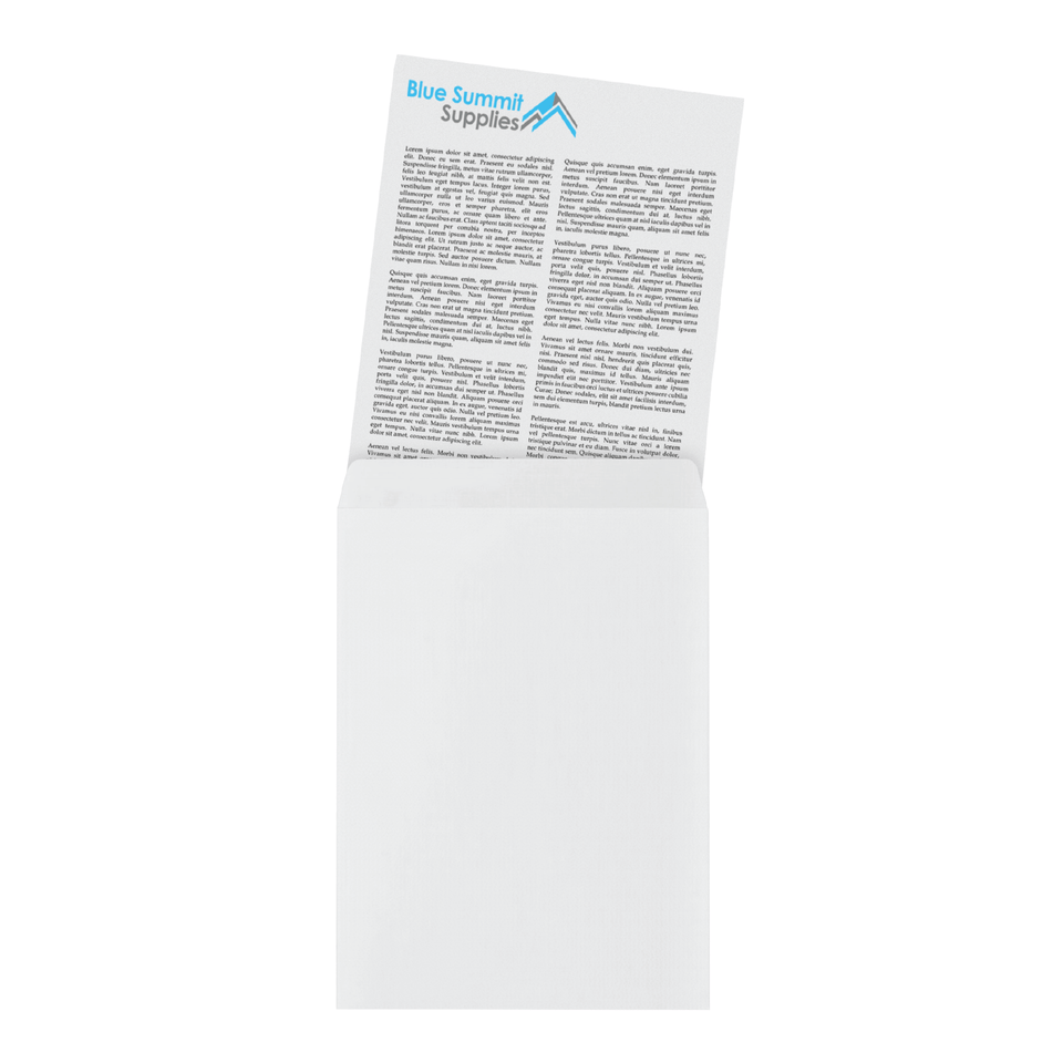 Security Catalog Envelopes, 9" x 12", White Paper, 100 Count Envelopes Blue Summit Supplies 