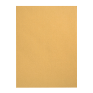 Catalog Envelopes, 9" x 12", Kraft Paper, 100 Count Envelopes Blue Summit Supplies 
