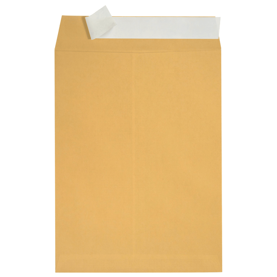 Catalog Envelopes, 6" x 9", Kraft Paper, 100 Count Envelopes Blue Summit Supplies 