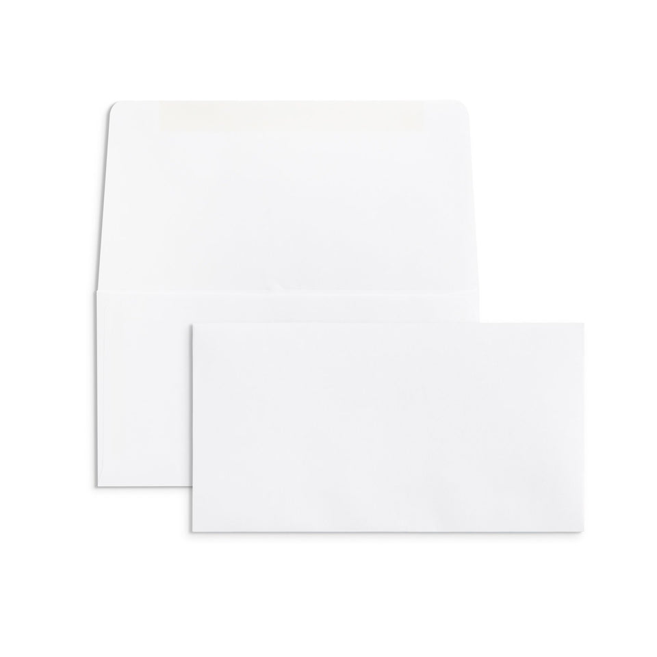 Blue Summit Supplies Envelopes, #6 3/4 Remittance Envelopes, Gummed, 500 Pack