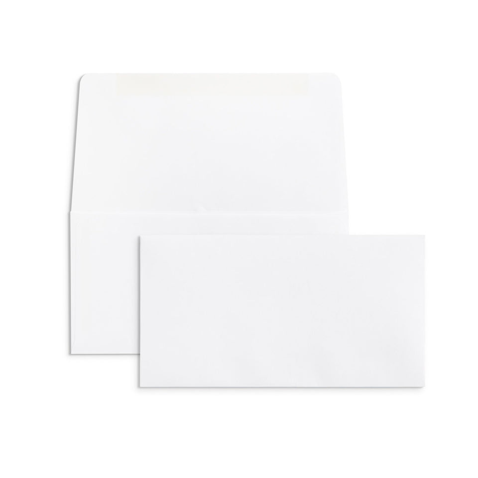 Blue Summit Supplies Envelopes, 6 3/4 Remittance Envelopes, Gummed, 5