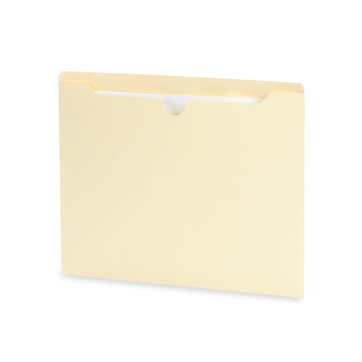 Blue Summit Supplies File Jackets, Letter, No Expansion, Straight Tab,