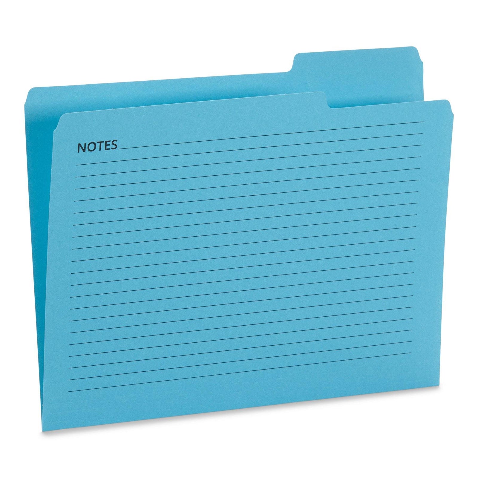 Blue Summit Supplies File Folders with Notes, Letter, 1/5 Tab, Assorte