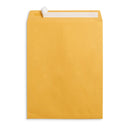 Catalog Envelopes, 10" x 13", Kraft Paper, 100 Count Envelopes Blue Summit Supplies 