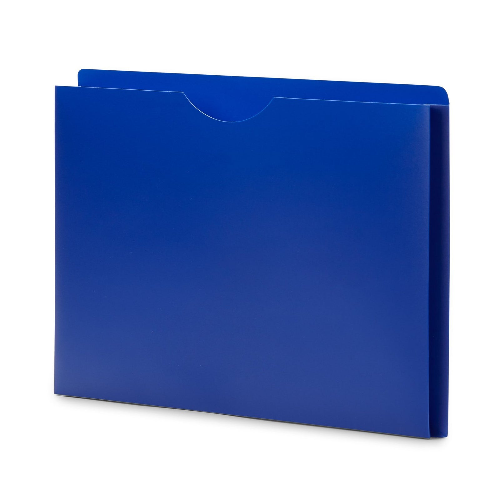 Blue Summit Supplies Plastic File Jackets, Letter, 1