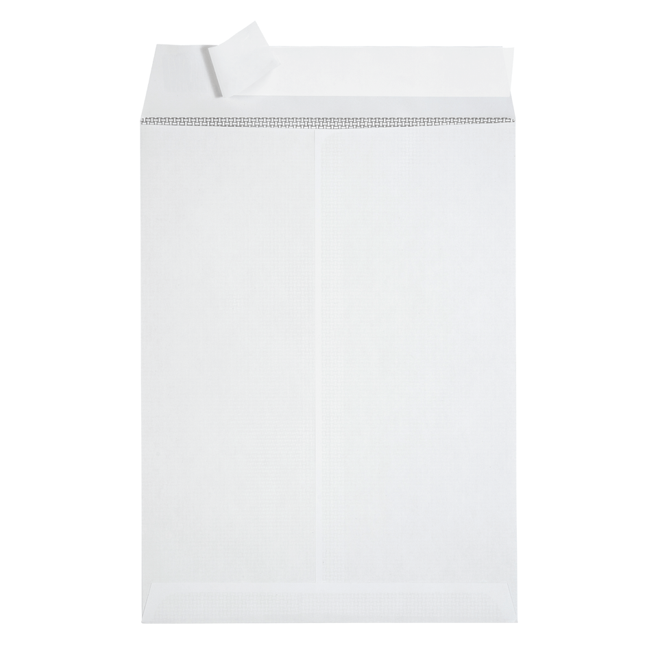 Security Catalog Envelopes, 6" x 9", White Paper, 250 Count Envelopes Blue Summit Supplies 